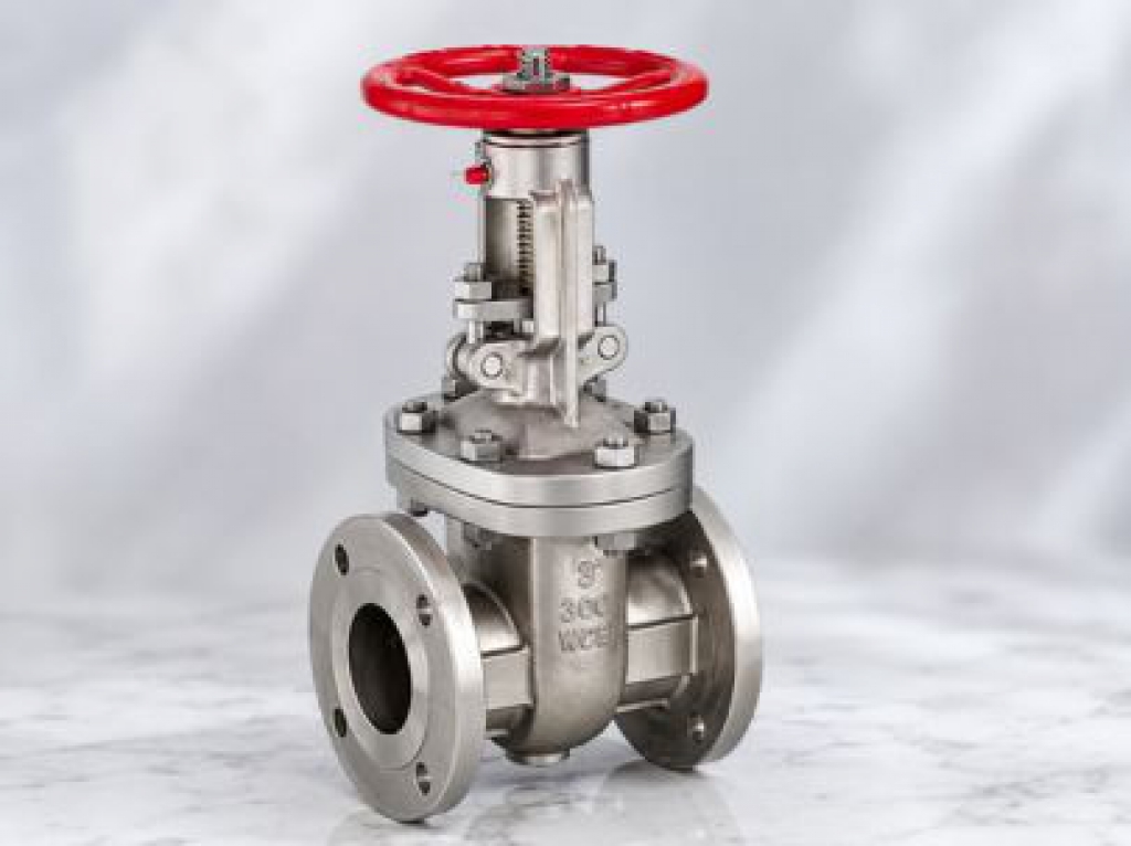  Gate Valves